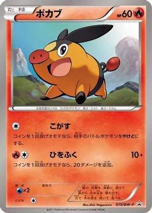 Tepig - 019/BW-P (019/BW-P) - BWP Promotional cards BW-P Promotional cards Pokemon Japanese Single Squirtle Squad Card Shop.