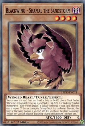 Blackwing - Shamal the Sandstorm (L5DD-ENC13) - Legendary 5D's Decks 1st Edition Legendary 5D's Decks Yugioh Single Squirtle Squad Card Shop.