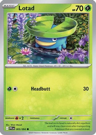 Lotad 005 - Reverse Holofoil ME02 Phantasmal Flames - Common ME02: Phantasmal Flames Pokemon Single Squirtle Squad Card Shop.