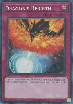 Dragon's Rebirth (Collector's Rare) (RA05-EN078) - Rarity Collection 5 1st Edition Rarity Collection 5 Yugioh Single Squirtle Squad Card Shop.