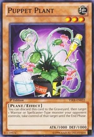 Puppet Plant (YSKR-EN022) - Starter Deck: Kaiba Reloaded Unlimited Starter Deck: Kaiba Reloaded Yugioh Single Squirtle Squad Card Shop.