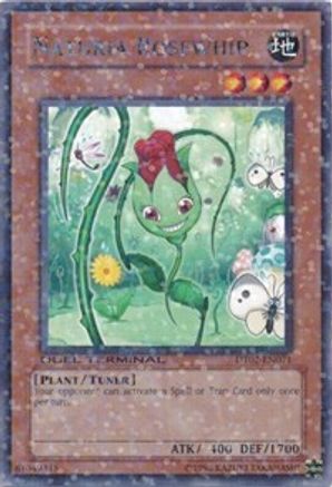 Naturia Rosewhip (DT02-EN071) - Duel Terminal 2 Limited Duel Terminal 2 Yugioh Single Squirtle Squad Card Shop.
