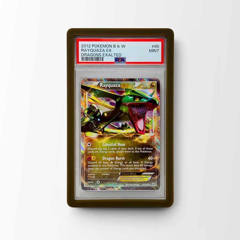 Dragonscale Supplies - Guard - Colour BROWN SOLID