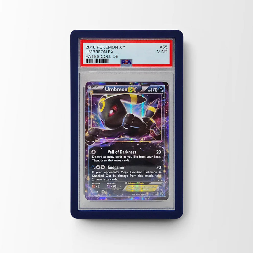 Dragonscale Supplies - Guard - Colour BLACK SOLID