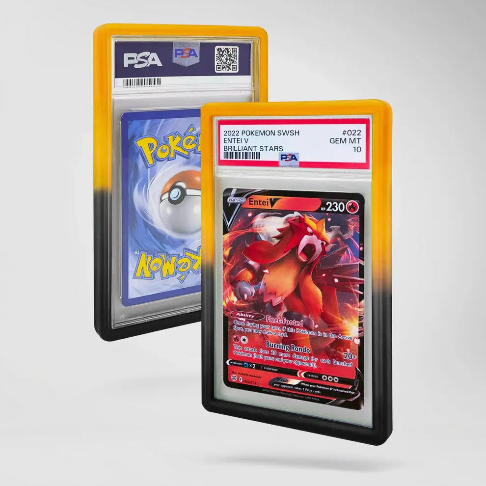 Dragonscale Supplies - Guard - Colour Magma - Grandiant Squirtle Squad Card Shop.