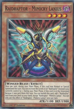 Raidraptor - Mimicry Lanius (WIRA-EN020) - Wing Raiders 1st Edition Wing Raiders Yugioh Single  Squirtle Squad Card Shop.