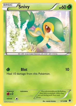 Snivy 005  - Reverse Holofoil XY  Fates Collide - Common