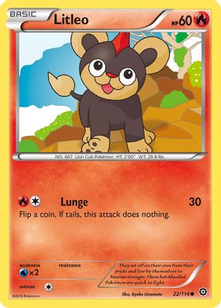 Litleo 022  XY  Steam Siege - Common XY - Steam Siege Pokemon Single  Squirtle Squad Card Shop.