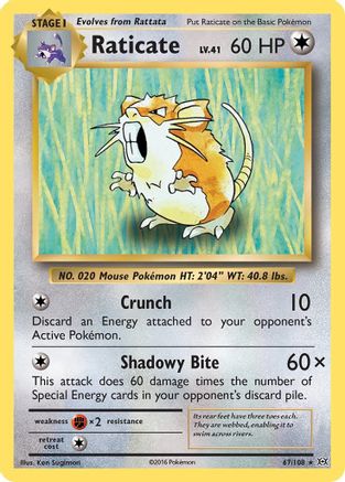 Raticate 067  - Reverse Holofoil XY  Evolutions - Rare XY - Evolutions Pokemon Single  Squirtle Squad Card Shop.