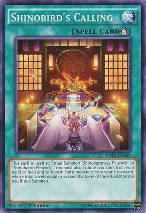 Shinobird's Calling (RATE-EN060) - Raging Tempest Unlimited Raging Tempest Yugioh Single  Squirtle Squad Card Shop.