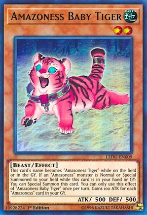 Amazoness Baby Tiger (LEDU-EN009) - Legendary Duelists 1st Edition Legendary Duelists Yugioh Single  Squirtle Squad Card Shop.