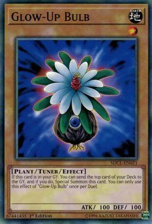 Glow-Up Bulb (SDCL-EN021) - Structure Deck: Cyberse Link 1st Edition Structure Deck: Cyberse Link Yugioh Single  Squirtle Squad Card Shop.