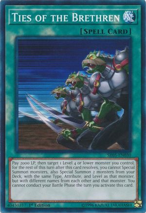 Ties of the Brethren (SR05-EN030) - Structure Deck: Wave of Light 1st Edition Structure Deck: Wave of Light Yugioh Single  Squirtle Squad Card Shop.