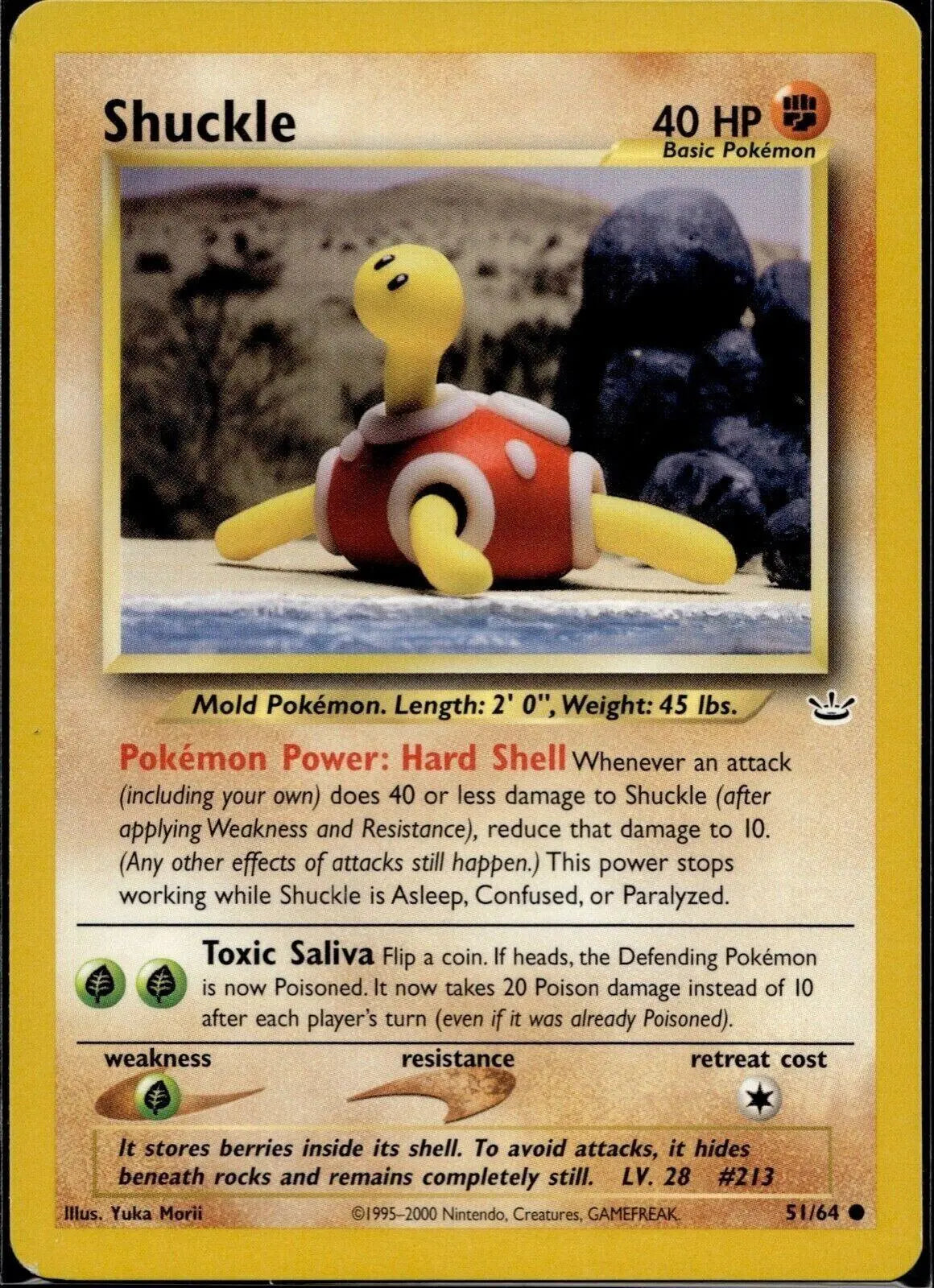 Shuckle 051  - Unlimited Neo Revelation - Common Neo Revelation Pokemon Single  Squirtle Squad Card Shop.