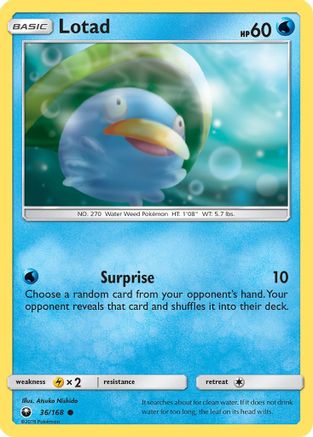 Lotad  SM  Celestial Storm - Common SM - Celestial Storm Pokemon Single  Squirtle Squad Card Shop.