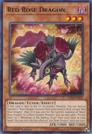 Red Rose Dragon (LED4-EN025) - Legendary Duelists: Sisters of the Rose 1st Edition Legendary Duelists: Sisters of the Rose Yugioh Single  Squirtle Squad Card Shop.