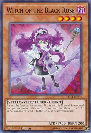 Witch of the Black Rose (LED4-EN030) - Legendary Duelists: Sisters of the Rose 1st Edition Legendary Duelists: Sisters of the Rose Yugioh Single  Squirtle Squad Card Shop.