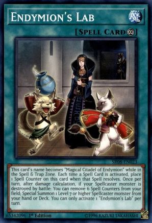 Endymion's Lab (SR08-EN023) - Structure Deck: Order of the Spellcasters 1st Edition Structure Deck: Order of the Spellcasters Yugioh Single  Squirtle Squad Card Shop.