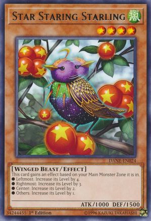 Star Staring Starling (DANE-EN024) - Dark Neostorm Unlimited Dark Neostorm Yugioh Single  Squirtle Squad Card Shop.