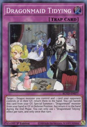 Dragonmaid Tidying (ROTD-EN077) - Rise of the Duelist 1st Edition Rise of the Duelist Yugioh Single  Squirtle Squad Card Shop.