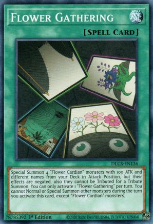 Flower Gathering (DLCS-EN136) - Dragons of Legend: The Complete Series 1st Edition Dragons of Legend: The Complete Series Yugioh Single  Squirtle Squad Card Shop.
