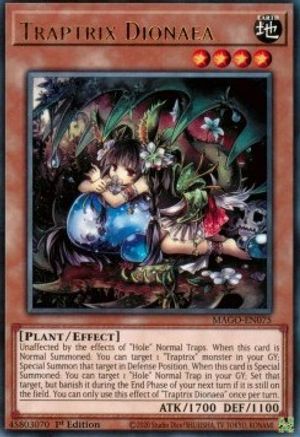 Traptrix Dionaea (MAGO-EN075) - Maximum Gold 1st Edition Maximum Gold Yugioh Single  Squirtle Squad Card Shop.