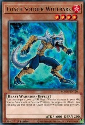 Coach Soldier Wolfbark (MAGO-EN120) - Maximum Gold 1st Edition Maximum Gold Yugioh Single  Squirtle Squad Card Shop.
