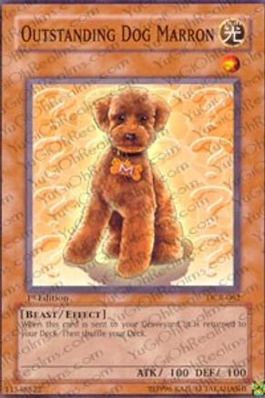 Outstanding Dog Marron (DCR-062) - Dark Crisis Unlimited Dark Crisis Yugioh Single  Squirtle Squad Card Shop.