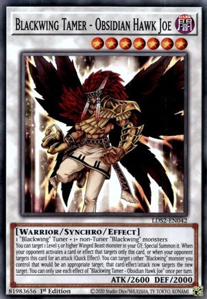 Blackwing Tamer - Obsidian Hawk Joe (LDS2-EN042) - Legendary Duelists: Season 2 1st Edition Legendary Duelists: Season 2 Yugioh Single  Squirtle Squad Card Shop.