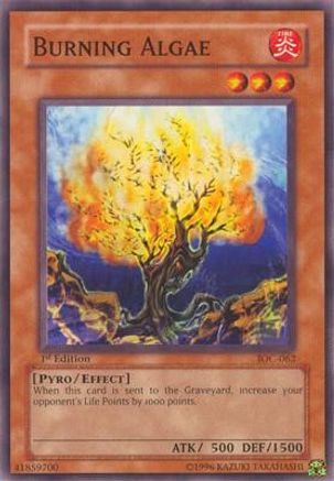Burning Algae (IOC-062) - Invasion of Chaos Unlimited Invasion of Chaos Yugioh Single  Squirtle Squad Card Shop.