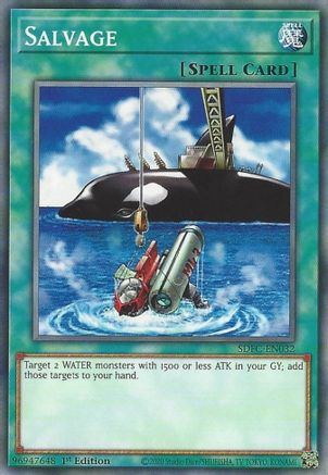 Salvage (SDFC-EN032) - Structure Deck: Freezing Chains 1st Edition Structure Deck: Freezing Chains Yugioh Single  Squirtle Squad Card Shop.