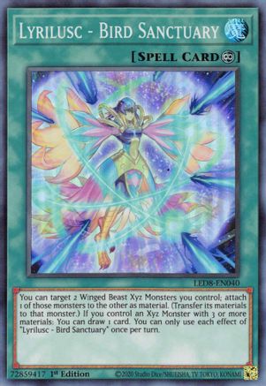 Lyrilusc - Bird Sanctuary (LED8-EN040) - Legendary Duelists: Synchro Storm 1st Edition Legendary Duelists: Synchro Storm Yugioh Single  Squirtle Squad Card Shop.