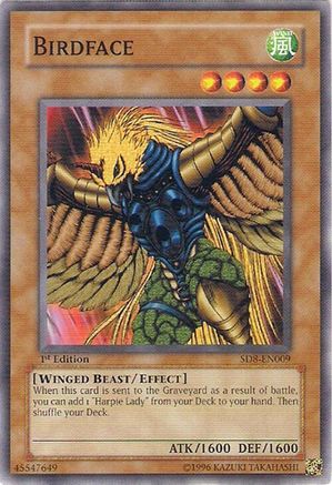 Birdface (SD8-EN009) - Structure Deck: Lord of the Storm Unlimited Structure Deck: Lord of the Storm Yugioh Single  Squirtle Squad Card Shop.
