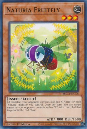 Naturia Fruitfly (HAC1-EN106) - Hidden Arsenal: Chapter 1 1st Edition Hidden Arsenal: Chapter 1 Yugioh Single  Squirtle Squad Card Shop.