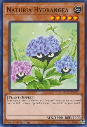 Naturia Hydrangea (HAC1-EN107) - Hidden Arsenal: Chapter 1 1st Edition Hidden Arsenal: Chapter 1 Yugioh Single  Squirtle Squad Card Shop.
