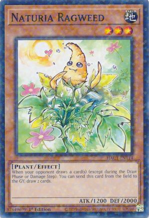 Naturia Ragweed (Duel Terminal) (HAC1-EN114) - Hidden Arsenal: Chapter 1 1st Edition Hidden Arsenal: Chapter 1 Yugioh Single  Squirtle Squad Card Shop.