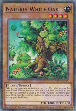Naturia White Oak (Duel Terminal) (HAC1-EN115) - Hidden Arsenal: Chapter 1 1st Edition Hidden Arsenal: Chapter 1 Yugioh Single  Squirtle Squad Card Shop.