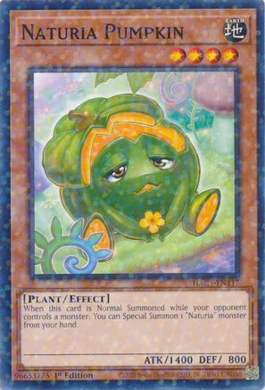 Naturia Pumpkin (Duel Terminal) (HAC1-EN117) - Hidden Arsenal: Chapter 1 1st Edition Hidden Arsenal: Chapter 1 Yugioh Single  Squirtle Squad Card Shop.