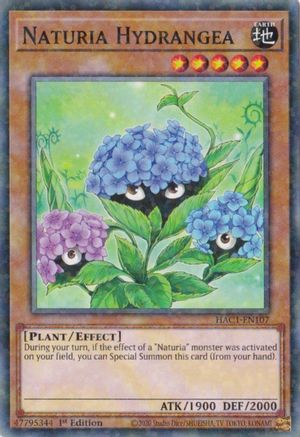 Naturia Hydrangea (Duel Terminal) (HAC1-EN107) - Hidden Arsenal: Chapter 1 1st Edition Hidden Arsenal: Chapter 1 Yugioh Single  Squirtle Squad Card Shop.