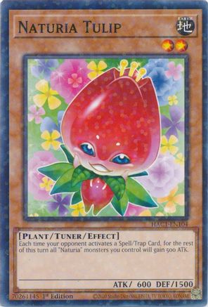 Naturia Tulip (Duel Terminal) (HAC1-EN104) - Hidden Arsenal: Chapter 1 1st Edition Hidden Arsenal: Chapter 1 Yugioh Single  Squirtle Squad Card Shop.