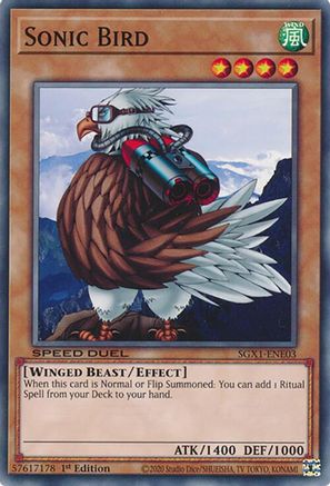 Sonic Bird (SGX1-ENE03) - Speed Duel GX: Duel Academy Box 1st Edition Speed Duel GX: Duel Academy Box Yugioh Single  Squirtle Squad Card Shop.