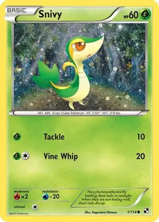Snivy (Cosmos Holo) 001/114  - Holofoil Miscellaneous Cards & Products - Promo Miscellaneous Cards & Products Pokemon Single  Squirtle Squad Card Shop.