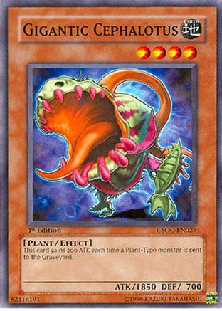 Gigantic Cephalotus (CSOC-EN025) - Crossroads of Chaos Unlimited Crossroads of Chaos Yugioh Single  Squirtle Squad Card Shop.