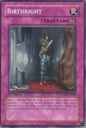Birthright (5DS1-EN040) - 5D's 2008 Starter Deck 1st Edition 5D's 2008 Starter Deck Yugioh Single  Squirtle Squad Card Shop.