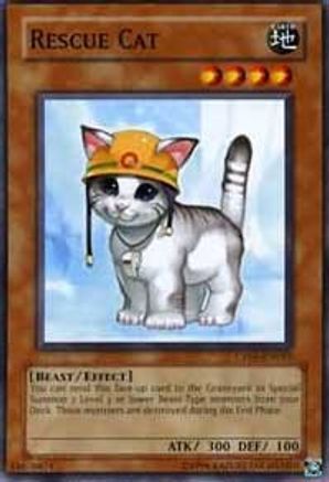 Rescue Cat (CP05-EN015) - Champion Pack 5 Unlimited Champion Pack 5 Yugioh Single  Squirtle Squad Card Shop.