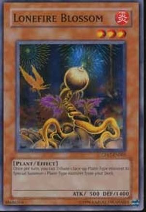 Lonefire Blossom (CP07-EN005) - Champion Pack 7 Unlimited Champion Pack 7 Yugioh Single  Squirtle Squad Card Shop.