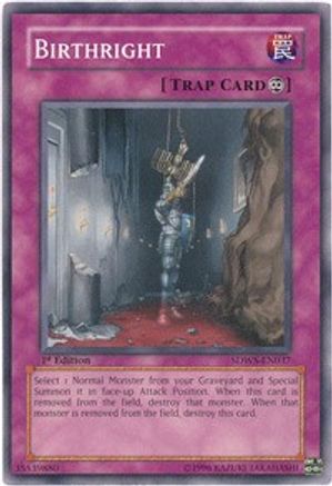Birthright (SDWS-EN037) - Structure Deck: Warriors' Strike 1st Edition Structure Deck: Warriors' Strike Yugioh Single  Squirtle Squad Card Shop.