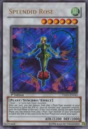 Splendid Rose (TSHD-EN043) - The Shining Darkness Unlimited The Shining Darkness Yugioh Single  Squirtle Squad Card Shop.