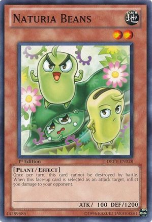 Naturia Beans (DREV-EN028) - Duelist Revolution 1st Edition Duelist Revolution Yugioh Single  Squirtle Squad Card Shop.
