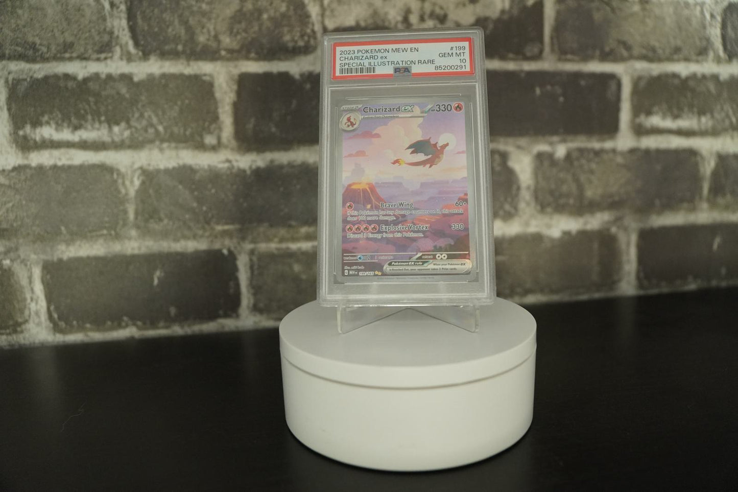 EVORETRO 360 Degrees Automatic Rotating Display EVORETRO Canada Stand  Squirtle Squad Card Shop.